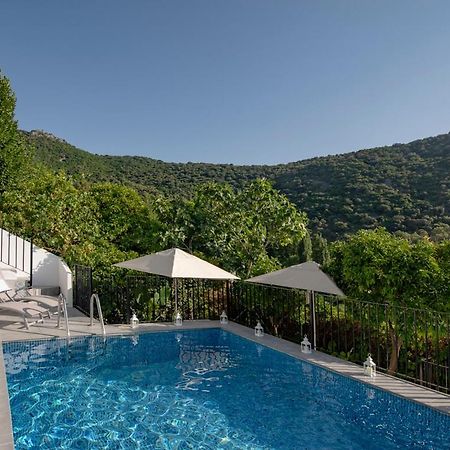 Stunning Home Benamahoma 4 Bed - Sierra Grazalema Extérieur photo
